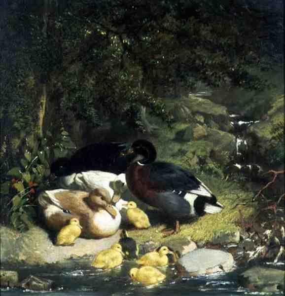 Patos e Patinhos de John Frederick Herring Senior