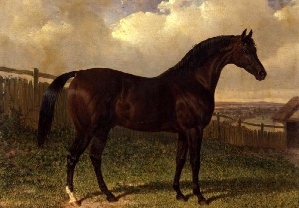 "Emilius", um cavalo de corrida de baía num paddock. de John Frederick Herring Senior