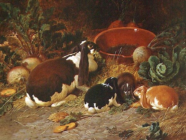 Coelhos chiques, uma Corça com a sua cria de John Frederick Herring Senior