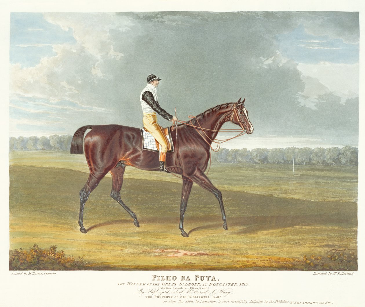&39;Filho da Puta&39;, o vencedor do Grande St. Leger em Doncaster, 1815, gravado por Thomas Sutherland (bc1785), pub. de W. Sheardown und Son (aquatint) de John Frederick Herring Senior
