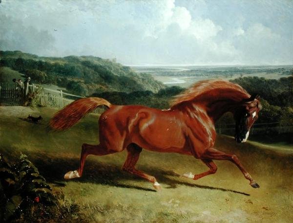 Cavalo Galopante numa Paisagem (óleo sobre tela) de John Frederick Herring Senior