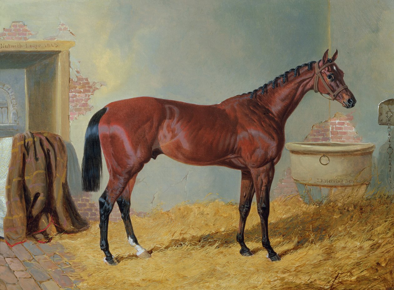 "Nutwith" do Sr. S. Wrather em um estábulo de John Frederick Herring Senior