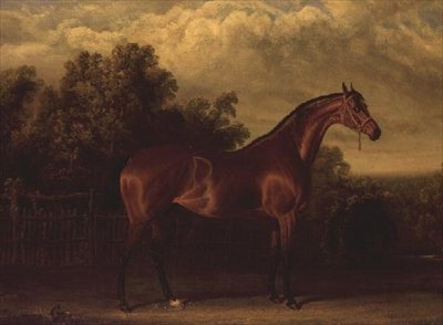 "Negociador" um Colt da Baía numa paisagem arborizada de John Frederick Herring Senior