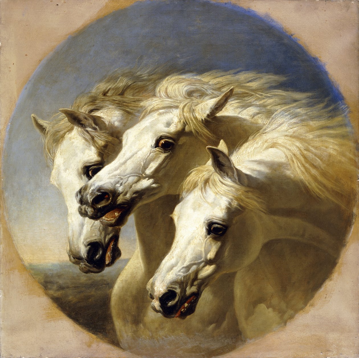 Cavalos do Faraó, 1848 de John Frederick Herring Senior