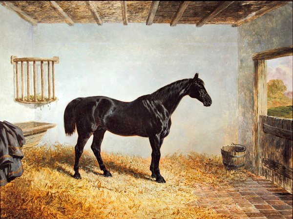 Retrato de um garanhão de pé em um estábulo (óleo sobre painel) de John Frederick Herring Senior