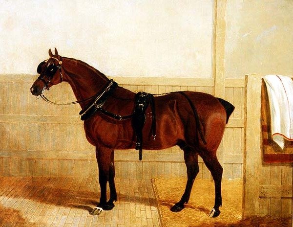 Prémio Shire Horse in Harness de John Frederick Herring Senior