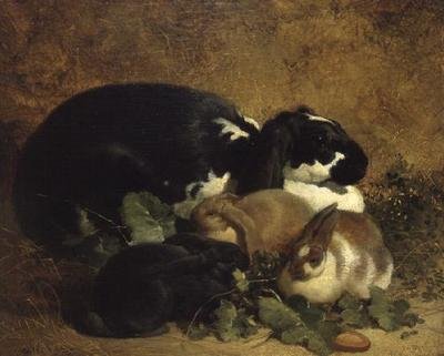 Coelhos de John Frederick Herring Senior
