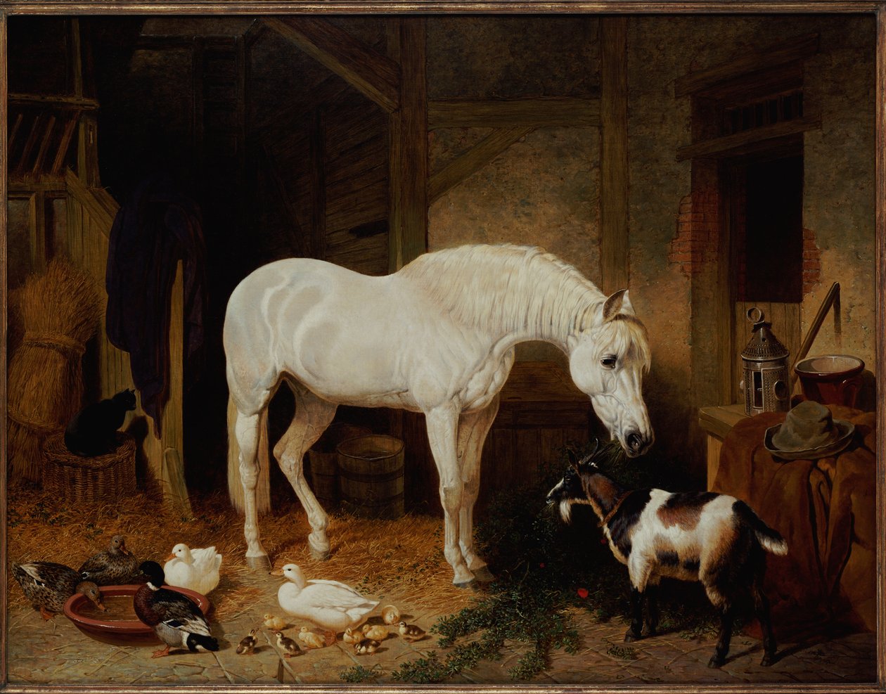 Companheiros estáveis de John Frederick Herring Senior