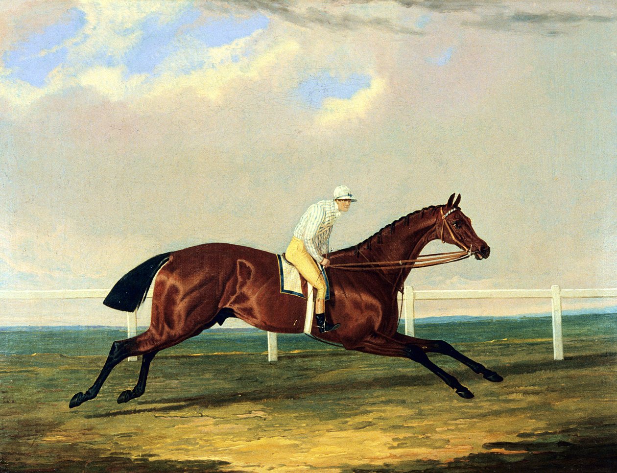 "Tarrare" montado por George Nelson (óleo sobre tela) de John Frederick Herring Senior