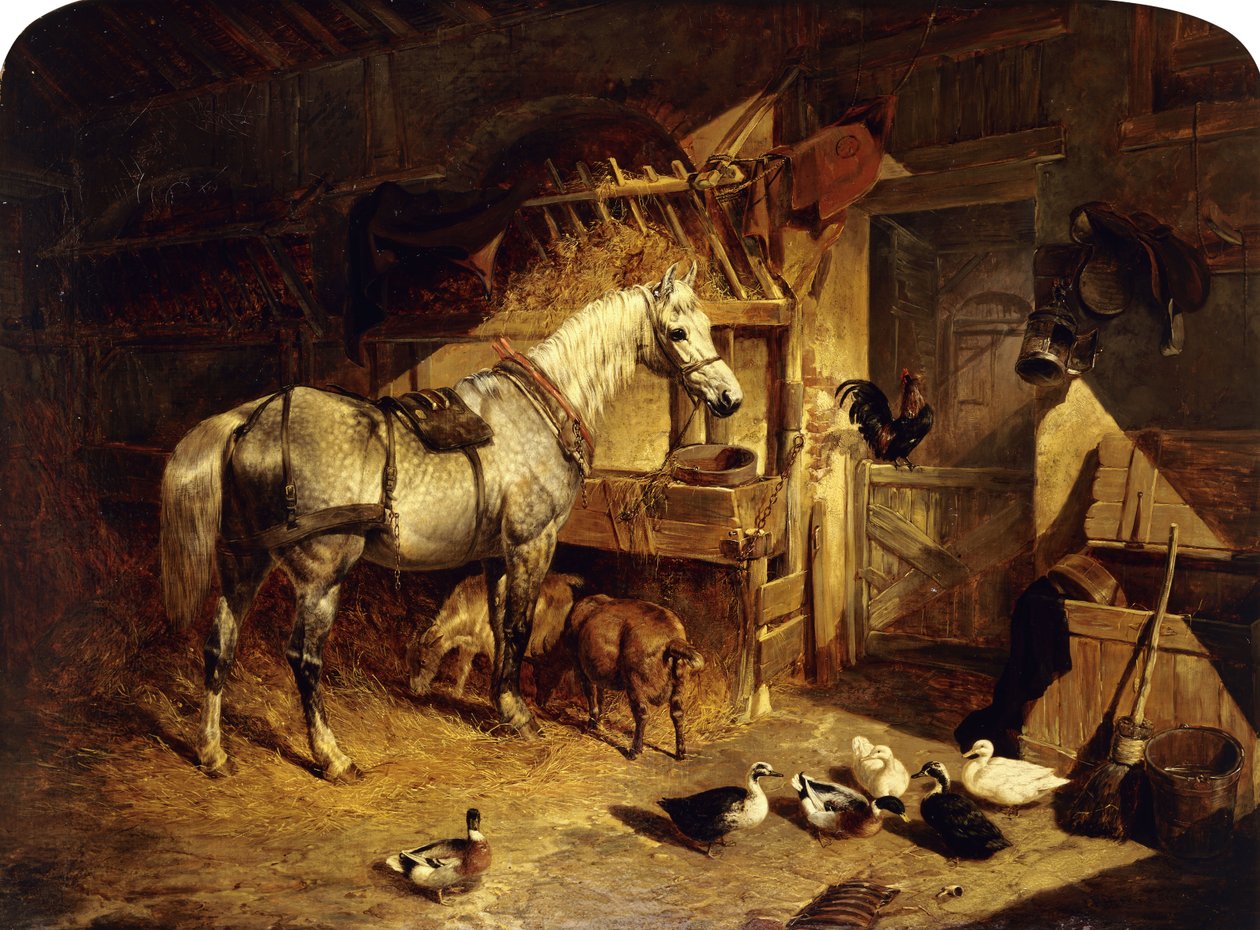 O interior de um estábulo com um cavalo Dapple Grey no chicote de fios, com patos, cabras e um galo de uma manjedoura, 1843 de John Frederick Herring Senior