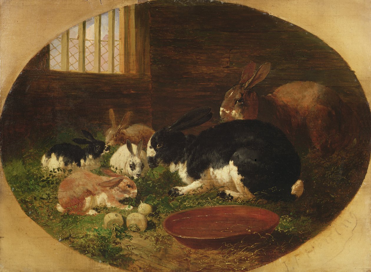 O coelho Hutch de John Frederick Herring Senior