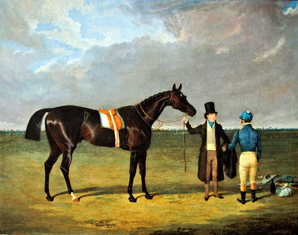 O Saddler de John Frederick Herring Senior