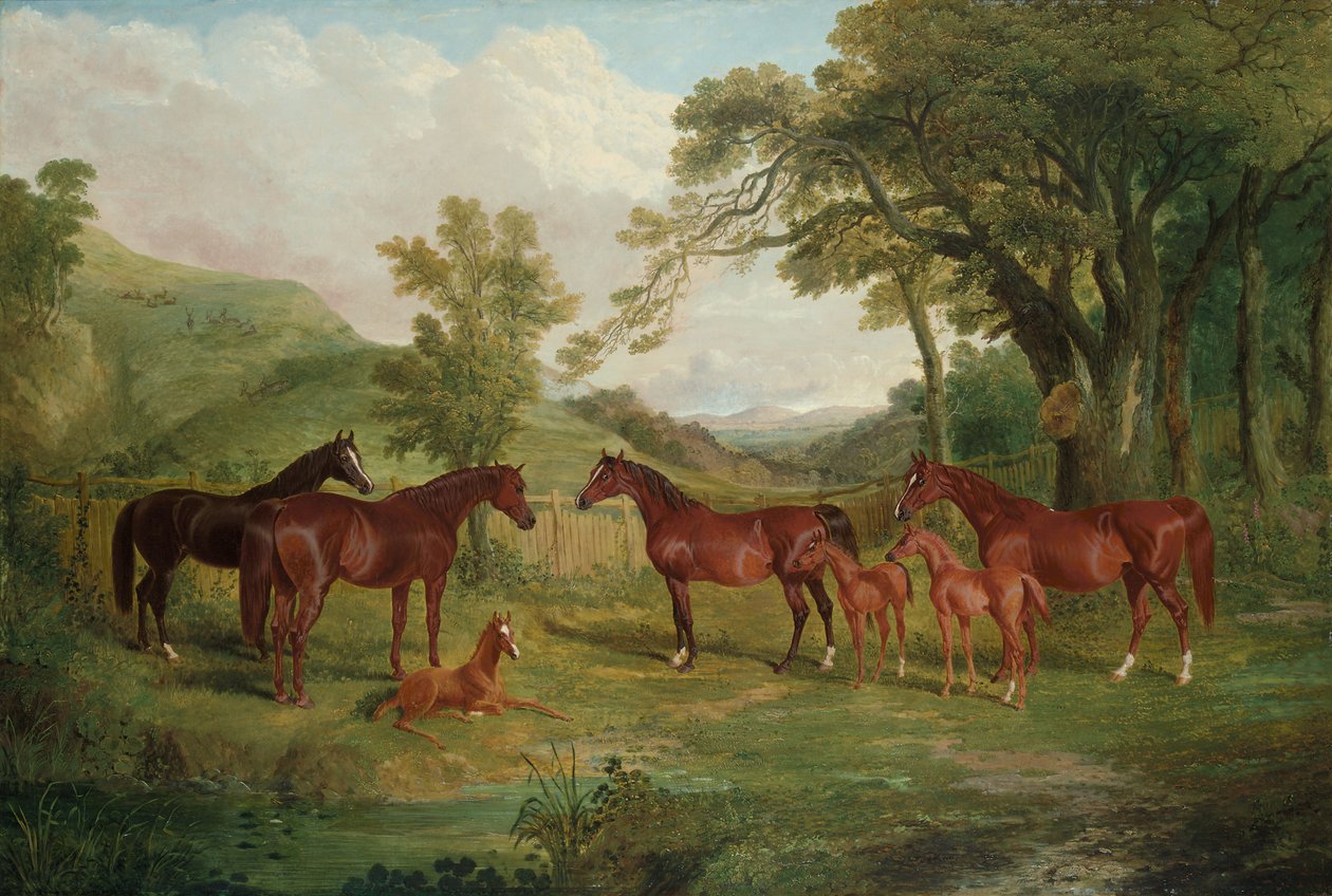 O parafuso prisioneiro de Streatlam, éguas e potros, 1836 de John Frederick Herring Senior