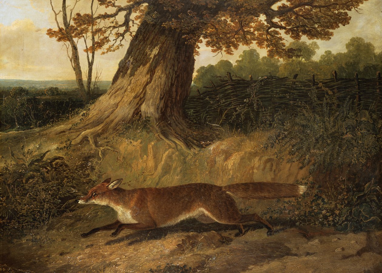 Imagem desconhecida de John Frederick Herring Senior