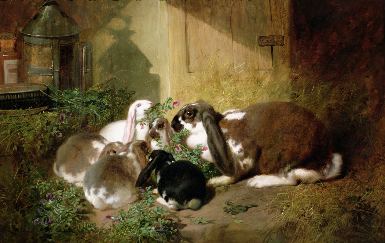 Imagem desconhecida de John Frederick Herring Senior