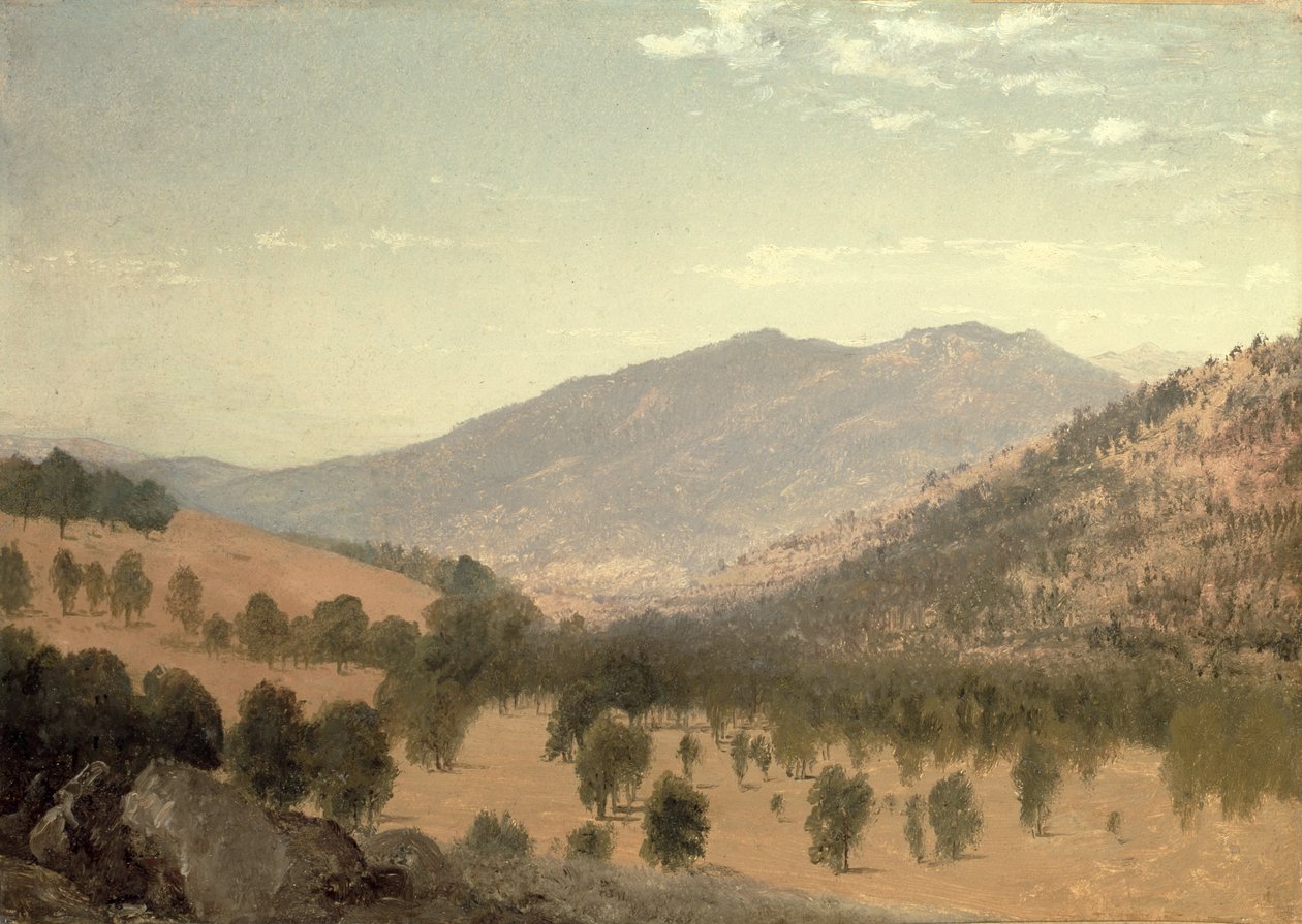 Bergen Park, Colorado (óleo sobre tela) de John Frederick Kensett