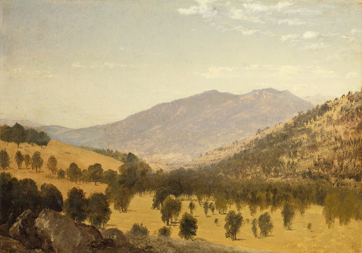 Bergen Park, Colorado, de John Frederick Kensett
