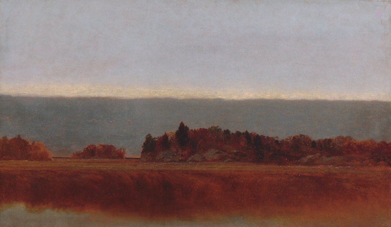 Salt Meadow em outubro de John Frederick Kensett