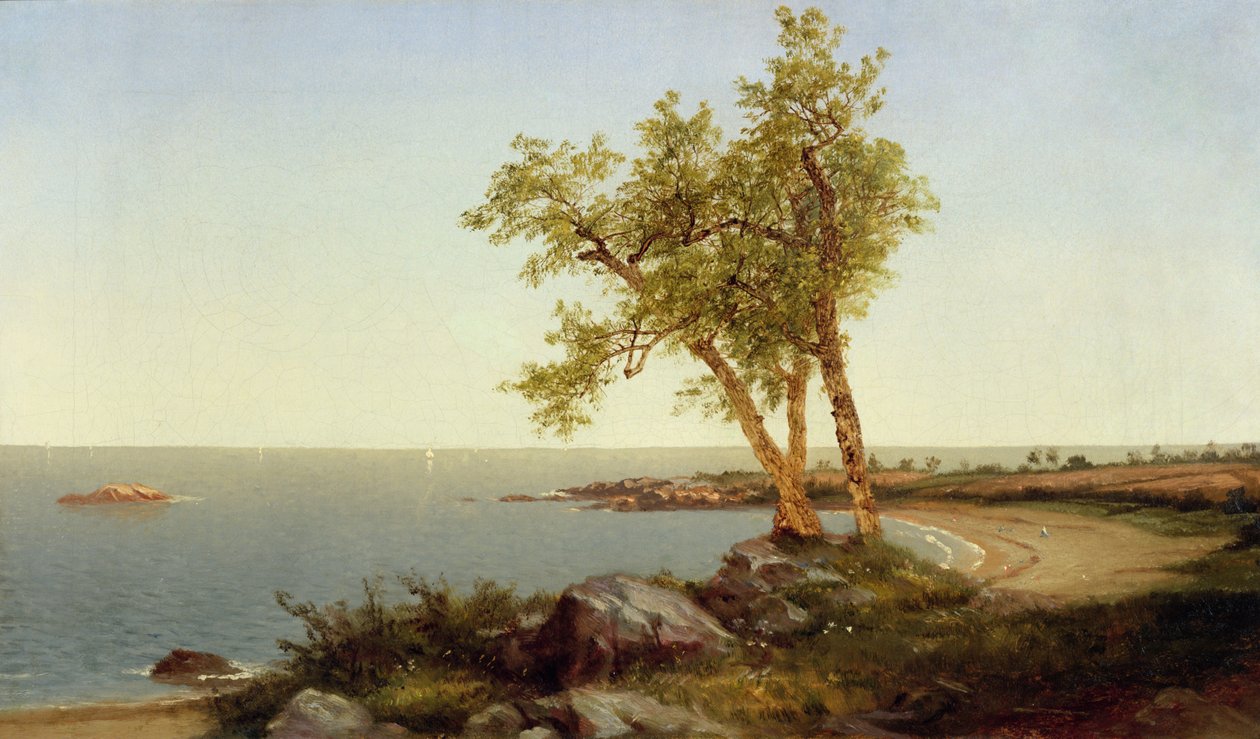 Linha da costa no verão (óleo sobre tela) de John Frederick Kensett