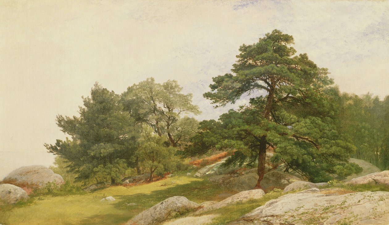 Estudo para árvores em Beverly Coast de John Frederick Kensett