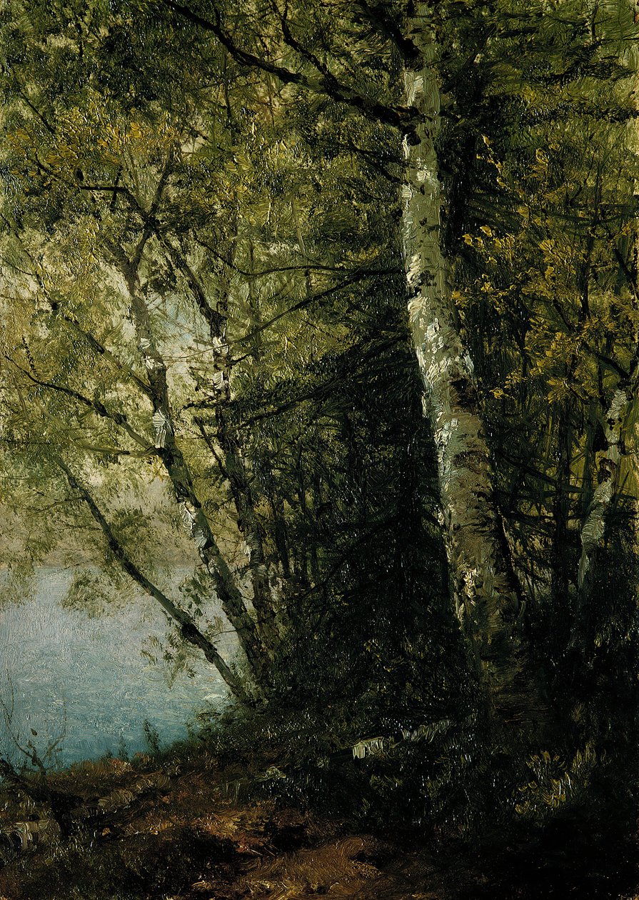 Estudo das faias, 1872. de John Frederick Kensett