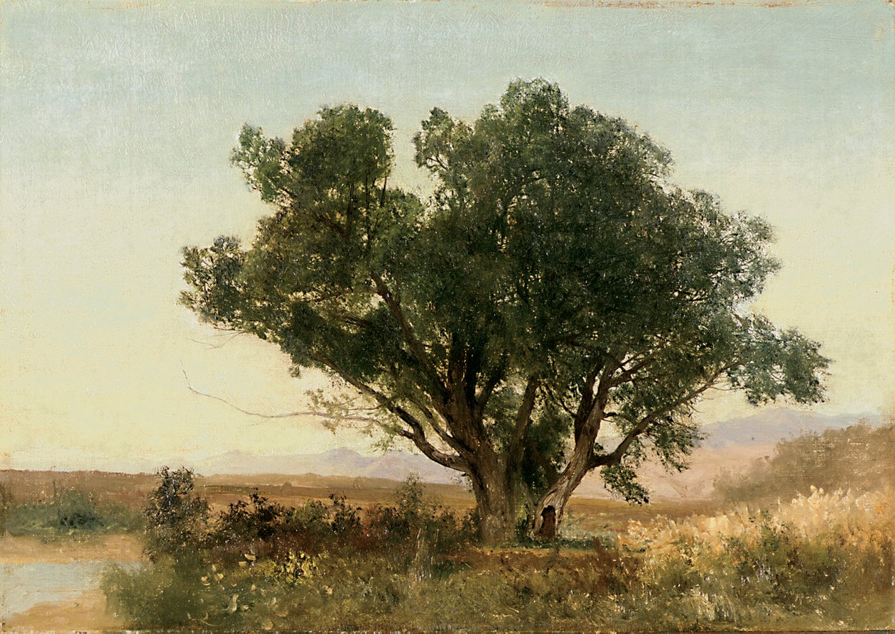 The Front Range, Colorado de John Frederick Kensett
