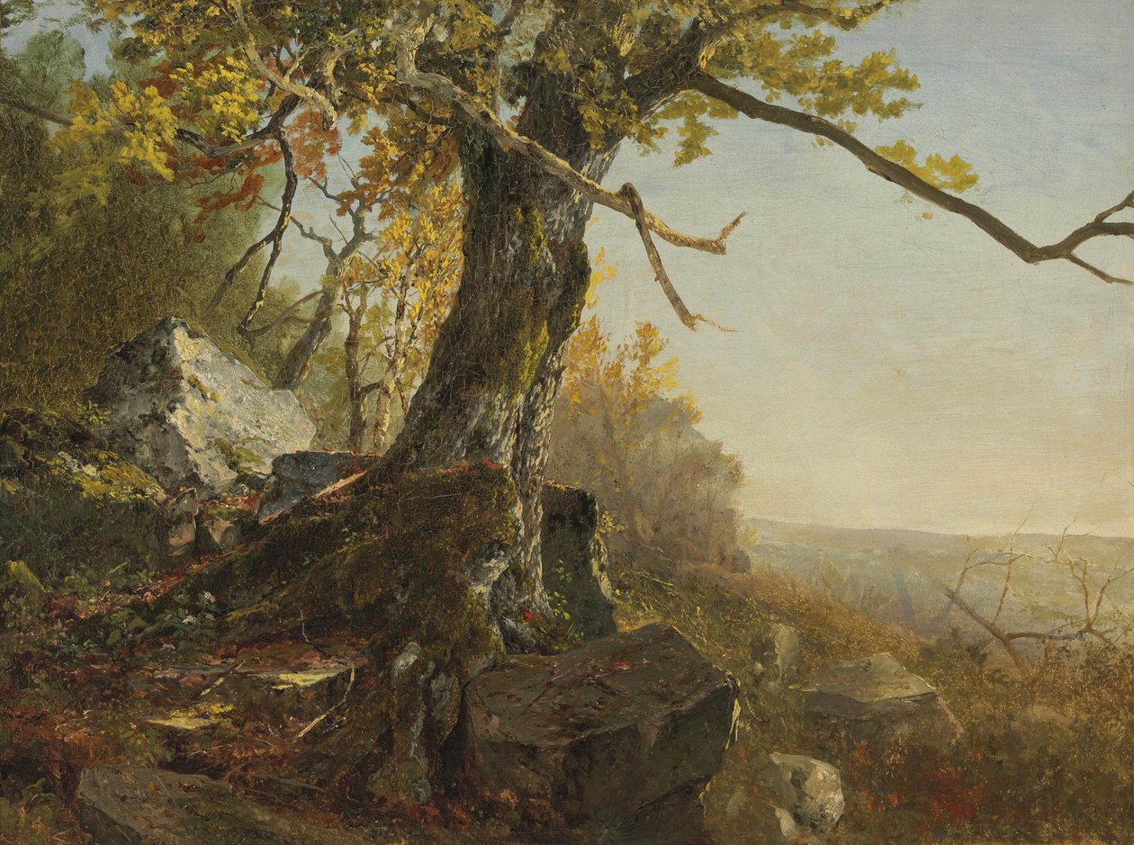 Árvore numa paisagem de John Frederick Kensett
