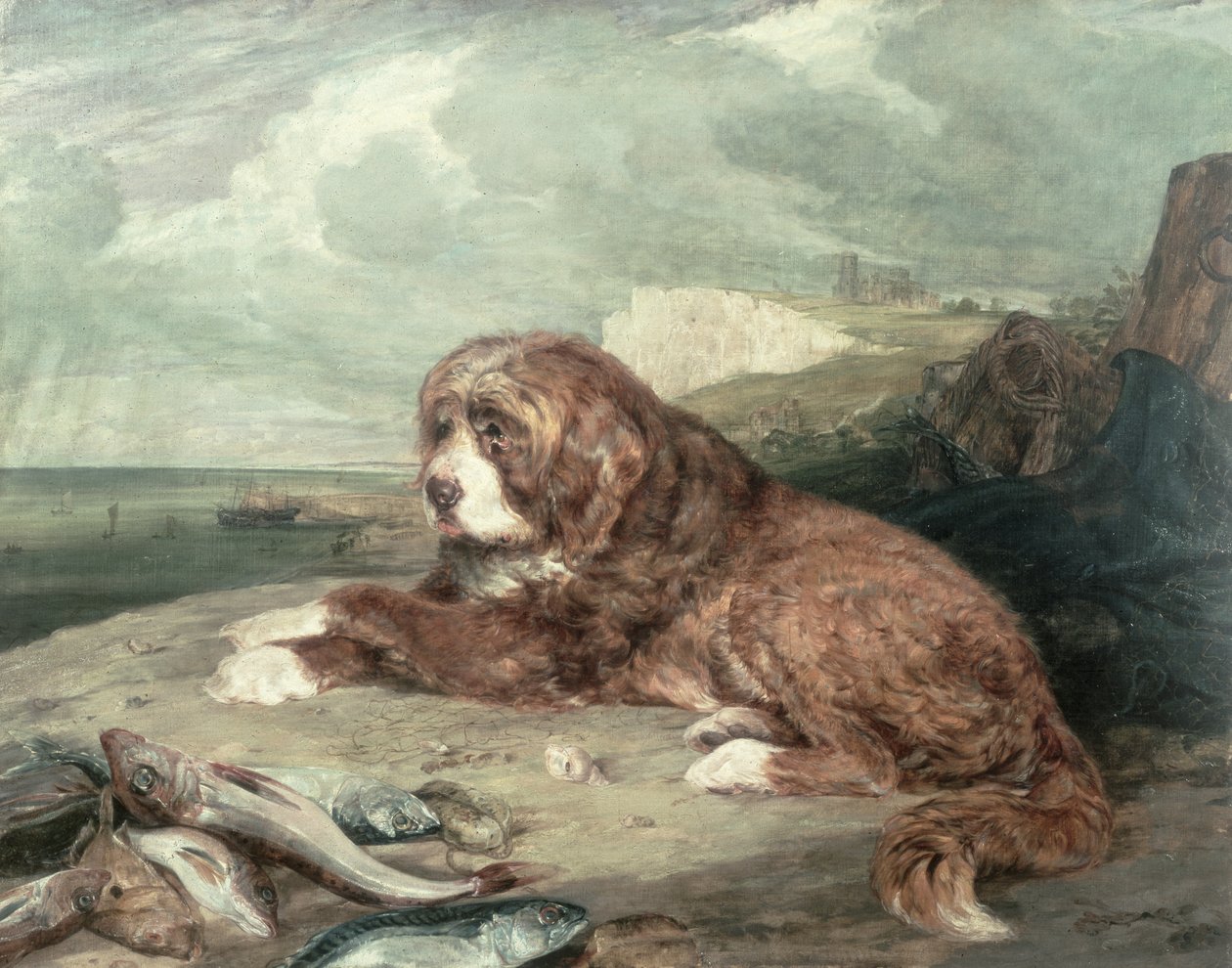 Um, velho, newfoundland, cão de John Frederick Lewis
