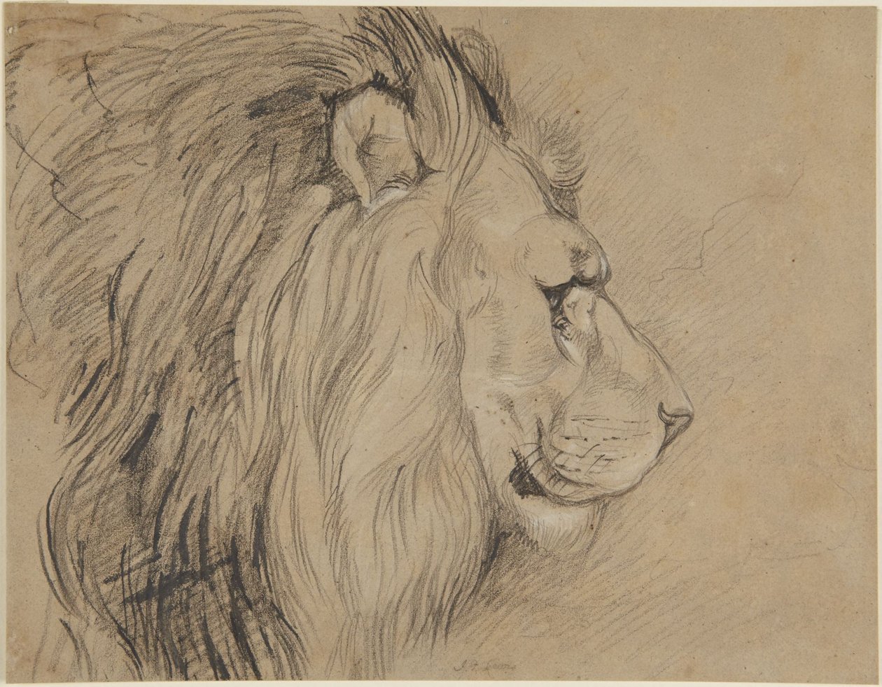 Leão de John Frederick Lewis