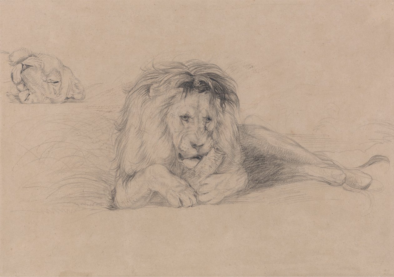 Estudo de um Leão e Estudo de uma Cabeça de Leão de John Frederick Lewis