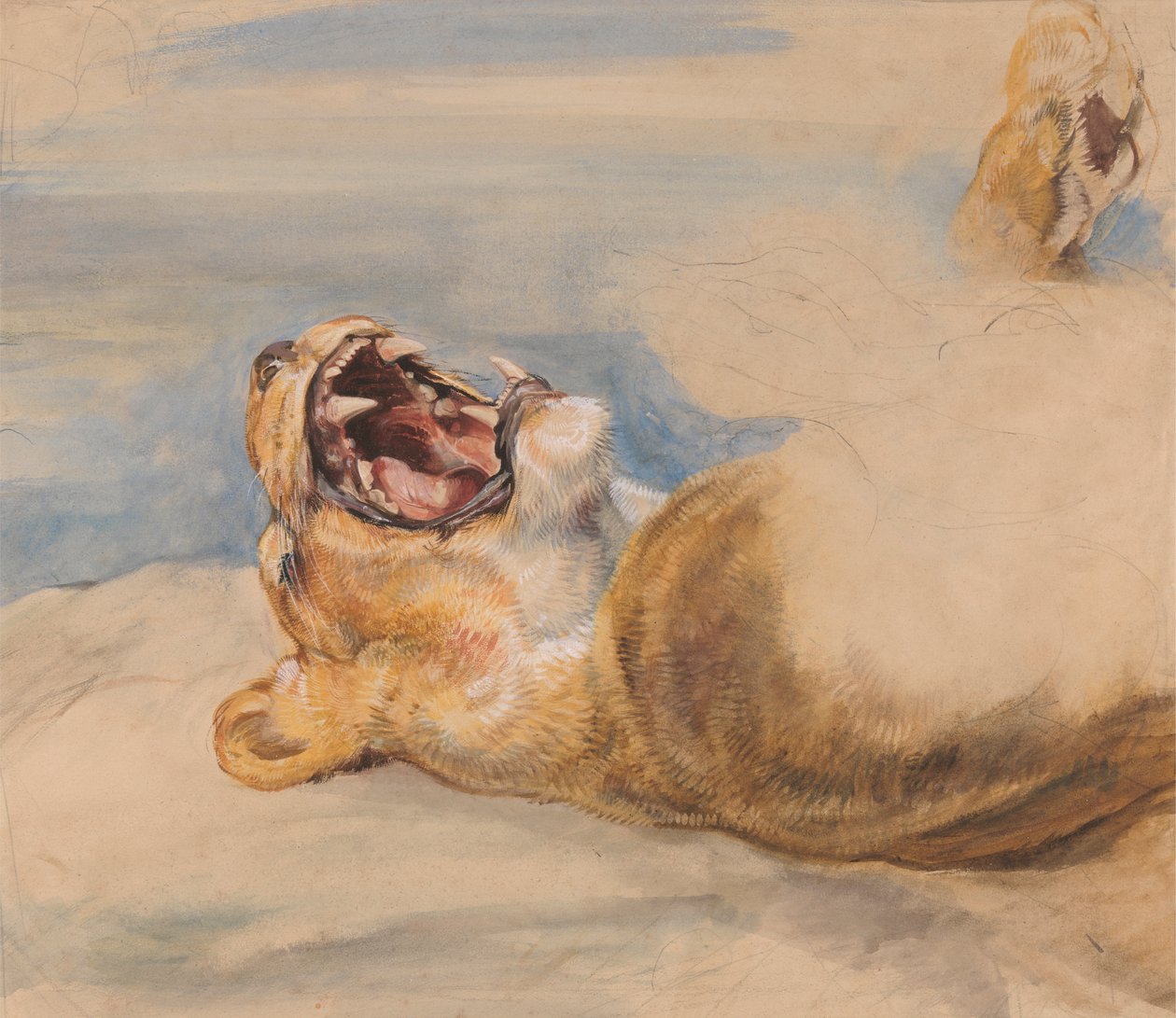 Estudo de uma Lioness de John Frederick Lewis