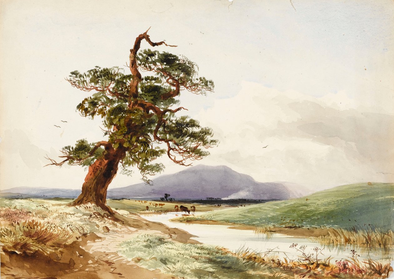 Vista de uma árvore perto de um rio com gado a beber e uma colina púrpura mais além de John Frederick William Herschel
