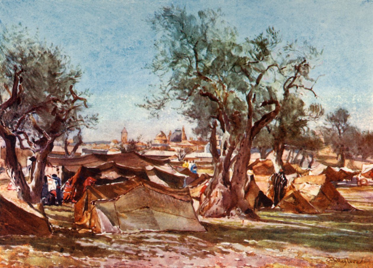 Acampamento beduíno fora do muro norte de Jerusalém, 1902. de John Fulleylove
