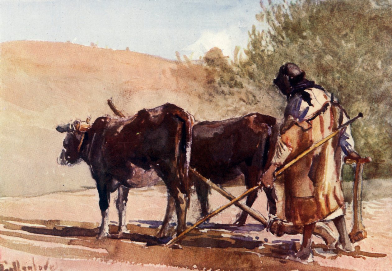 Arando no Monte das Oliveiras, 1902. de John Fulleylove