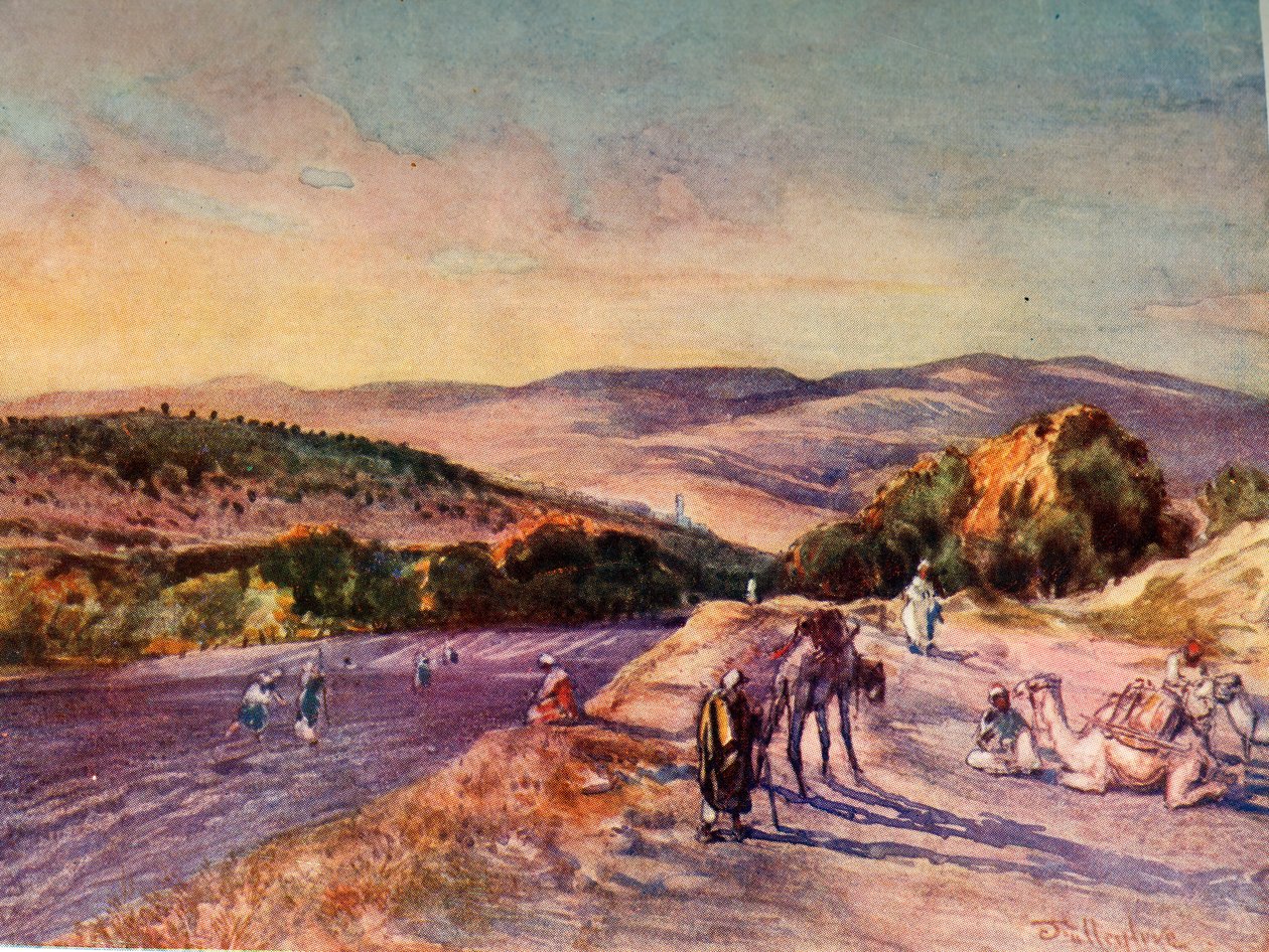 Local da antiga cidade de Samaria, 1902. de John Fulleylove