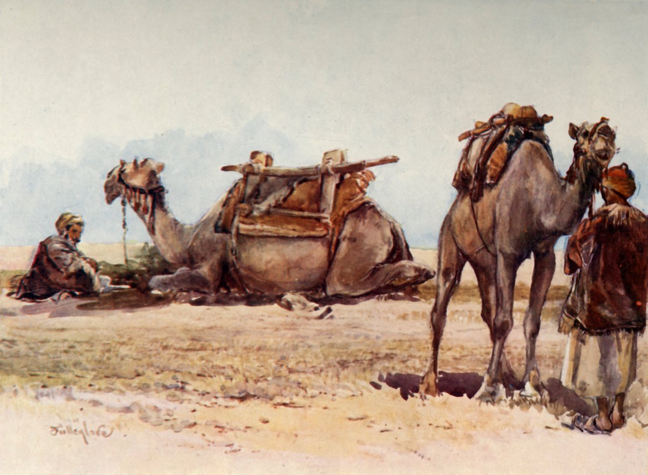 Estudo de Camelos e Atendentes, 1902. de John Fulleylove