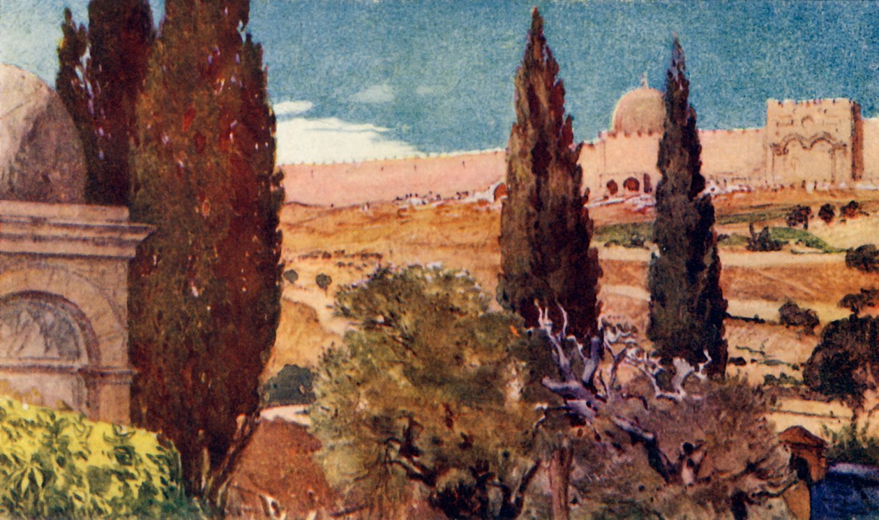 Os ciprestes do jardim do Getsêmani, 1902. de John Fulleylove