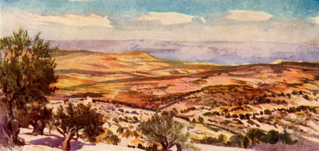 Os campos de Rute e Boaz, perto de Belém, 1902. de John Fulleylove