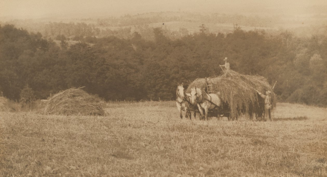 Carregamento de feno,1890-1900 (foto) de John G. Bullock