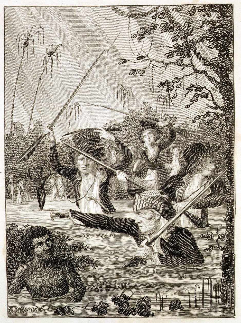 Marchar por um Pântano ou Pântano na Terra Firma de John Gabriel (after) Stedman