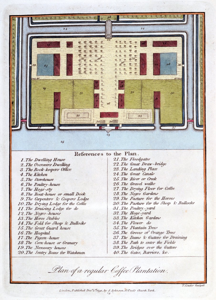 Plano de uma plantação regular de café, 1813 de John Gabriel Stedman