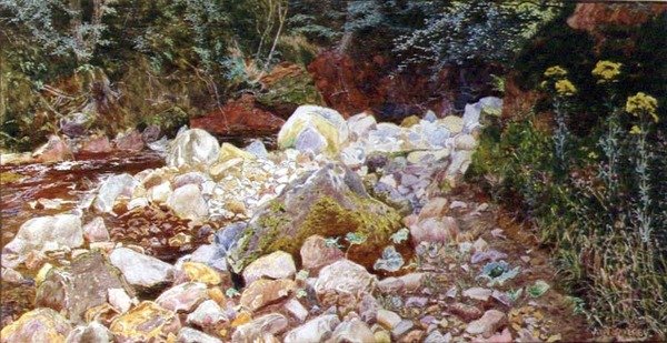 A Rocky Stream (aguarela sobre papel) de John George Sowerby