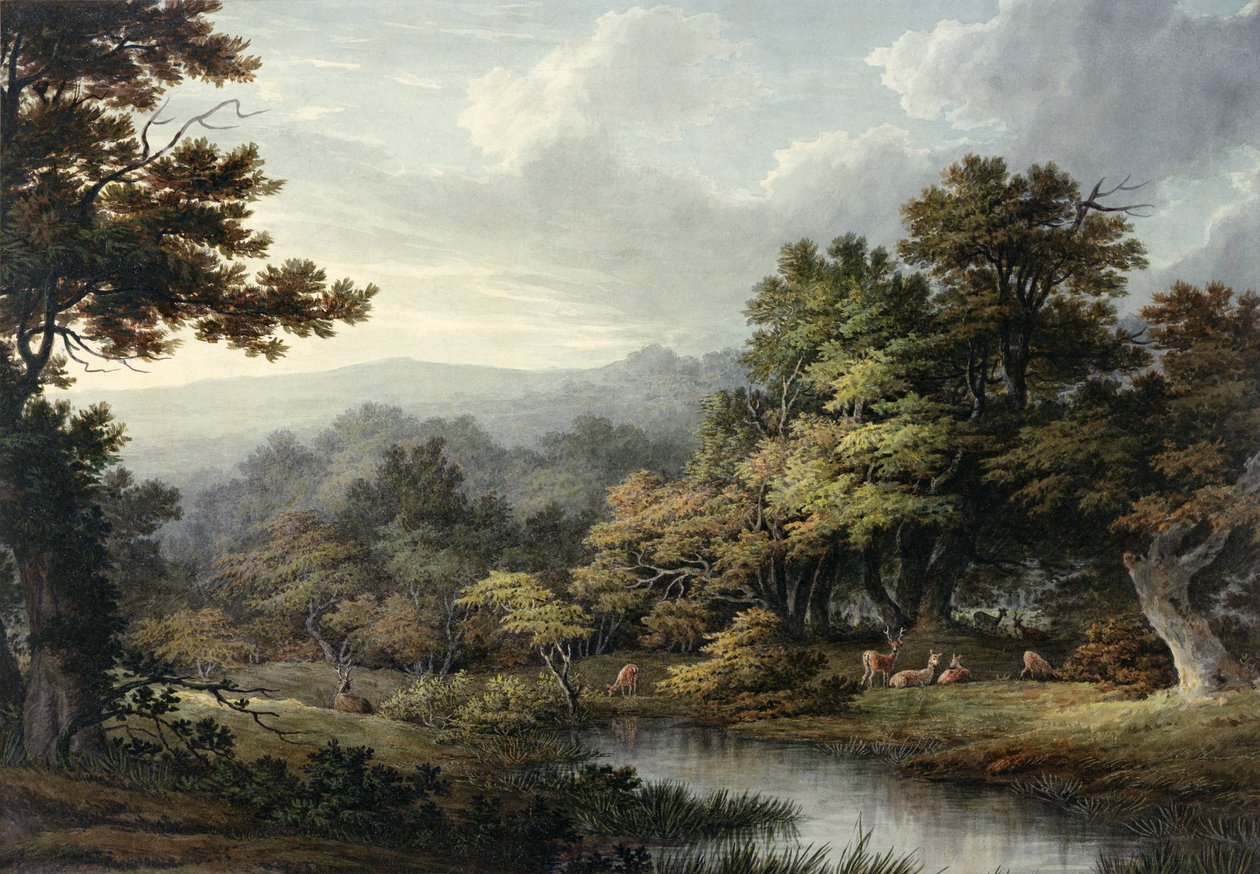 Clareira na floresta com piscina e veados (aquarela sobre papel) de John Glover