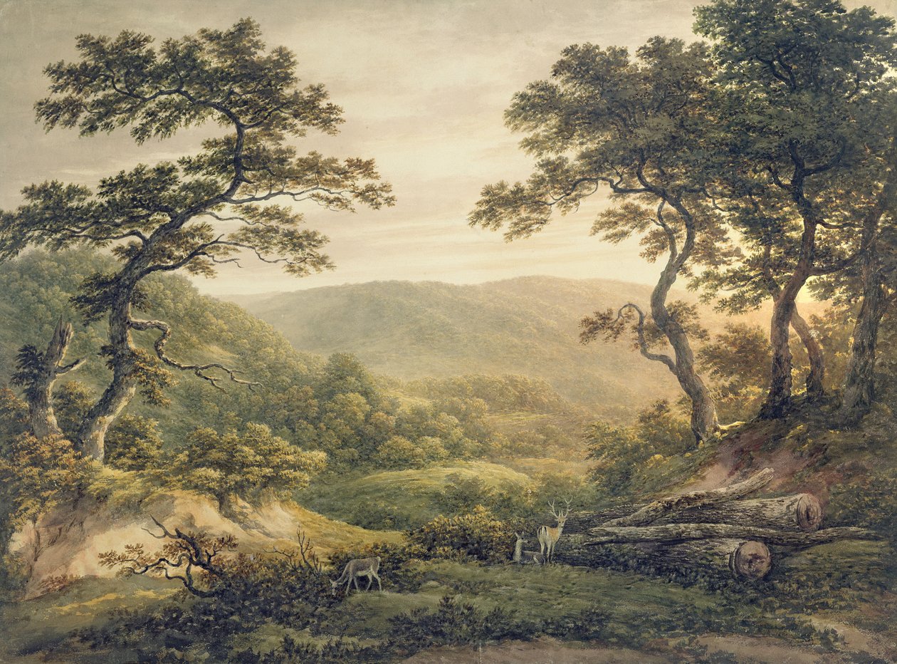 Needlewood Forest, Hampshire (aquarela sobre papel) de John Glover