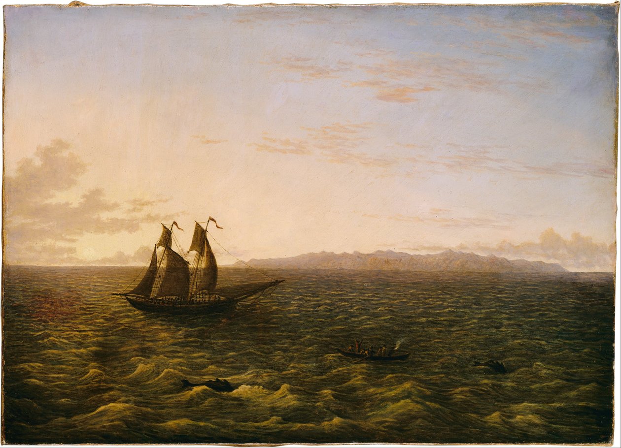 A Ilha da Madeira de John Glover