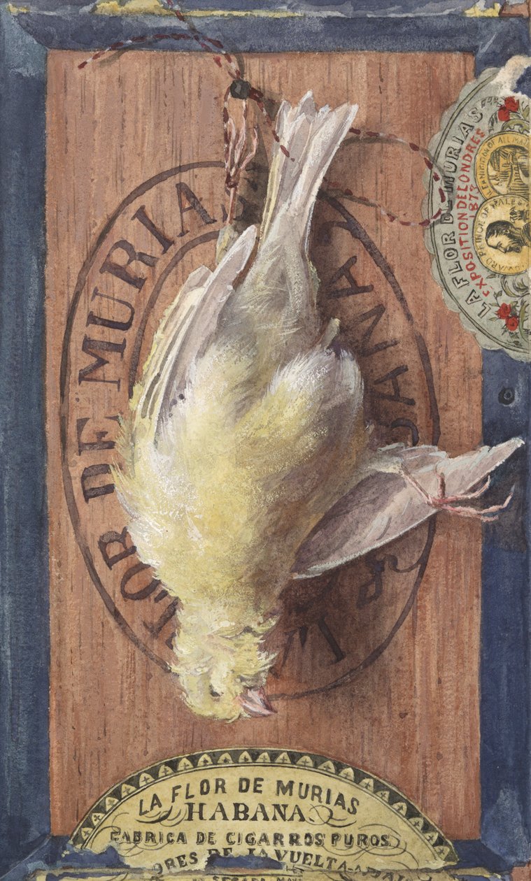 Trompe l de John Haberle