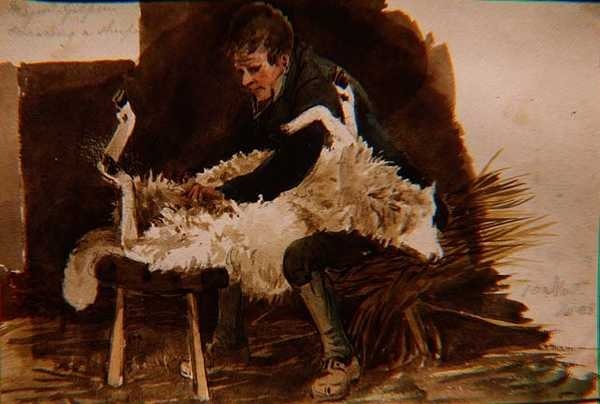 Major Gilpin Shearing a Shearing a Sheep de John Harden