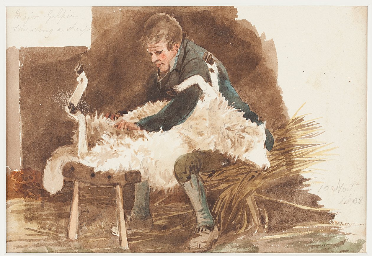 Tosquiando ovelhas, 1808 (wc no papel) de John Harden
