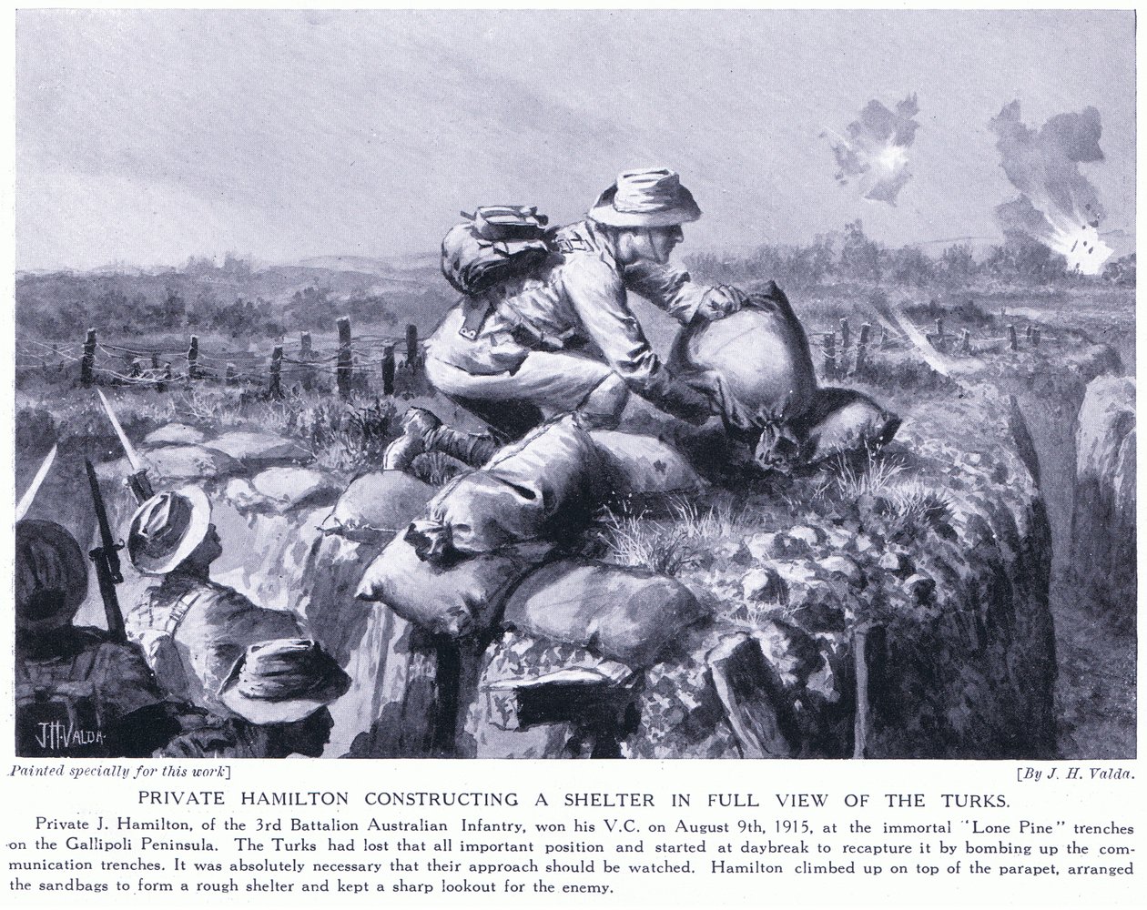 Hamilton privado construindo um abrigo em plena vista dos turcos nas trincheiras Lone Pine na Península de Gallipoli em agosto de 1915 de John Harris Valda