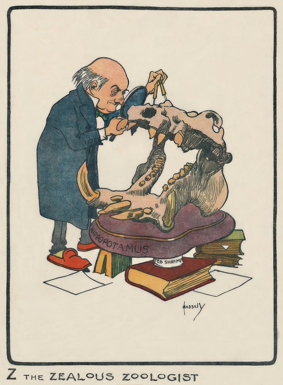 Z, o Zoólogo Zeloso - J. Hassall - Desenho, 1903 de John Hassall
